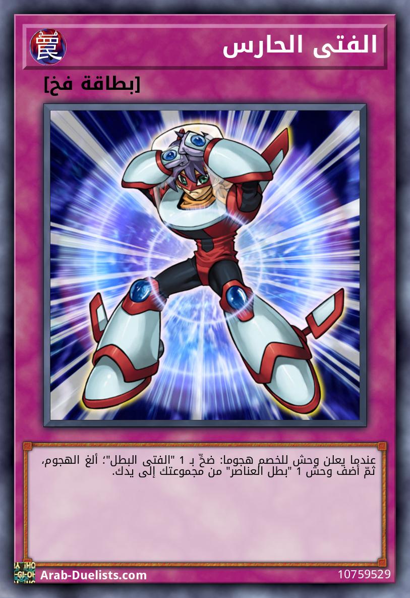 الفتى الحارس