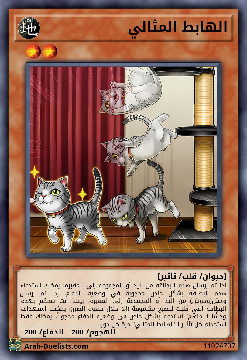 الهابط المثالي