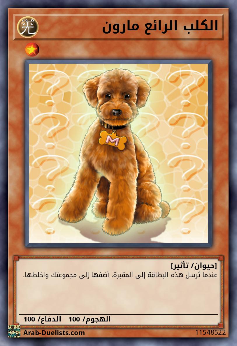 الكلب الرائع مارون