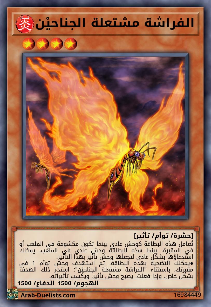 الفراشة مشتعلة الجناحيْن