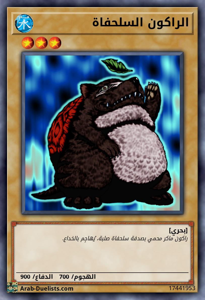 الراكون السلحفاة