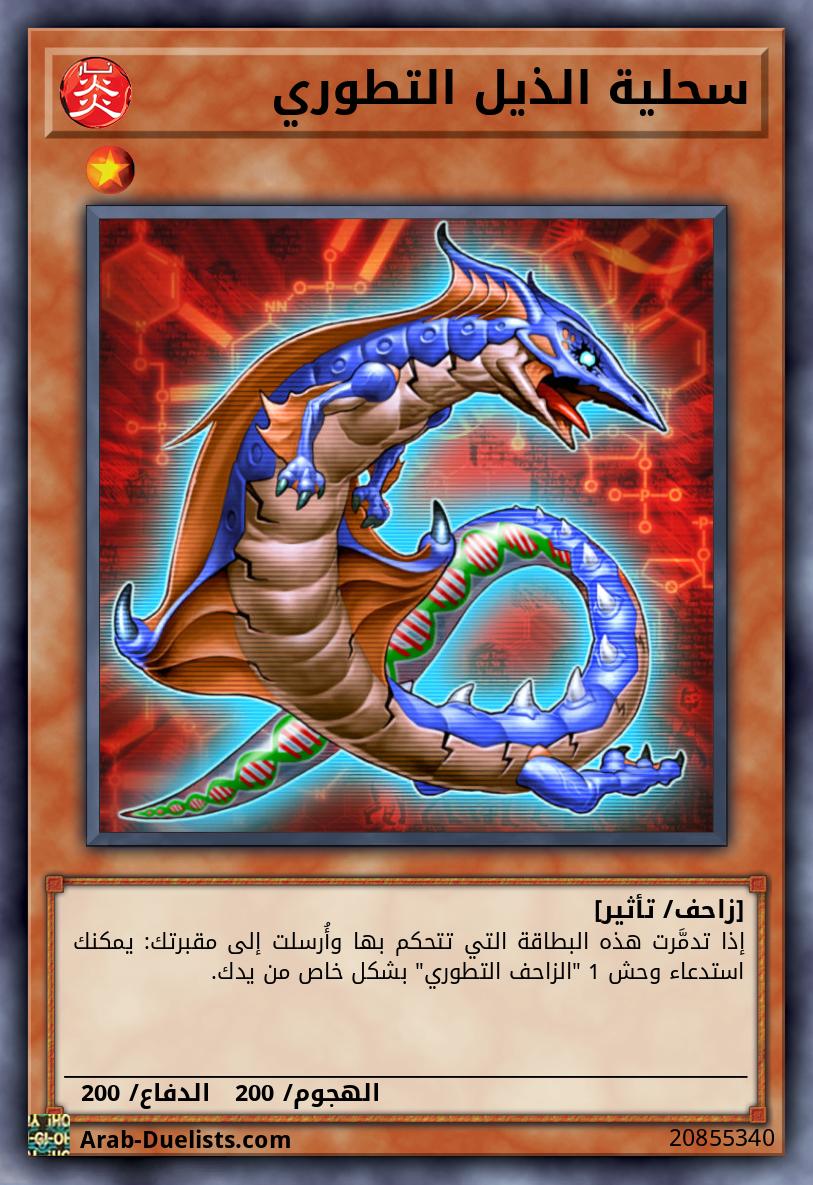 سحلية الذيل التطوري