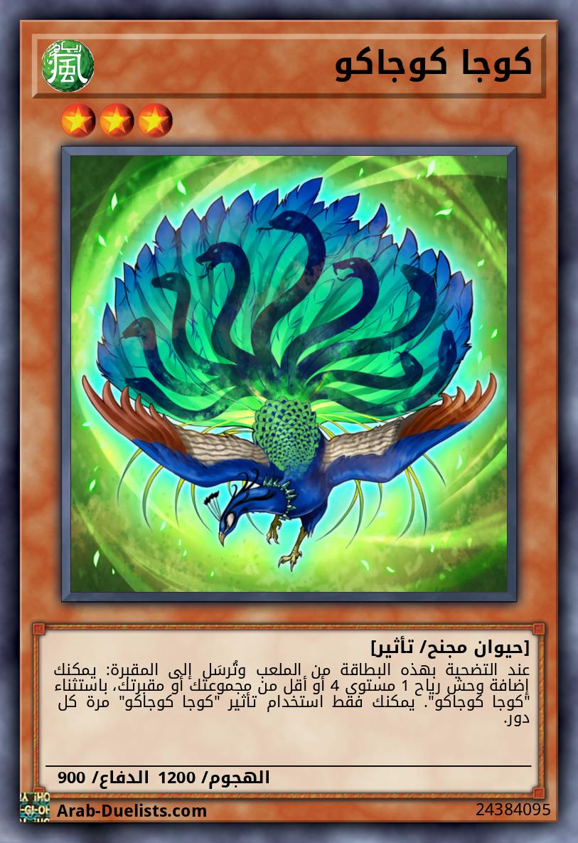 كوجا كوجاكو