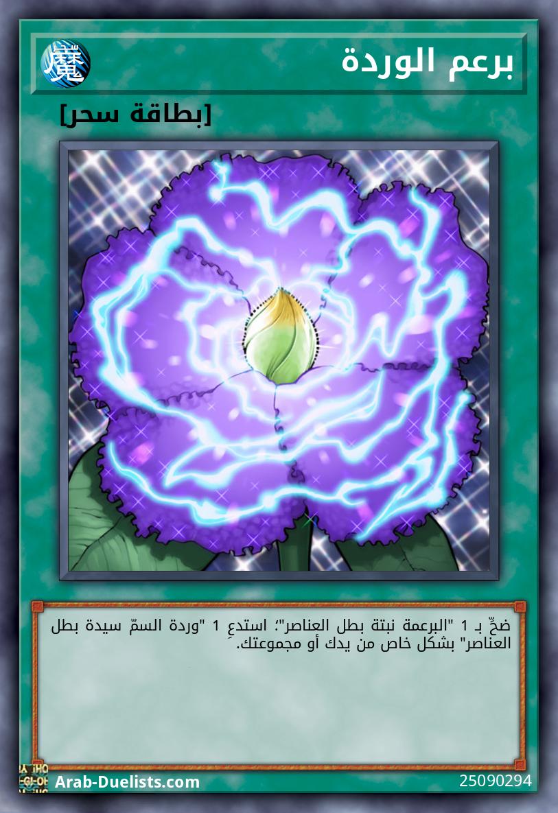 برعم الوردة