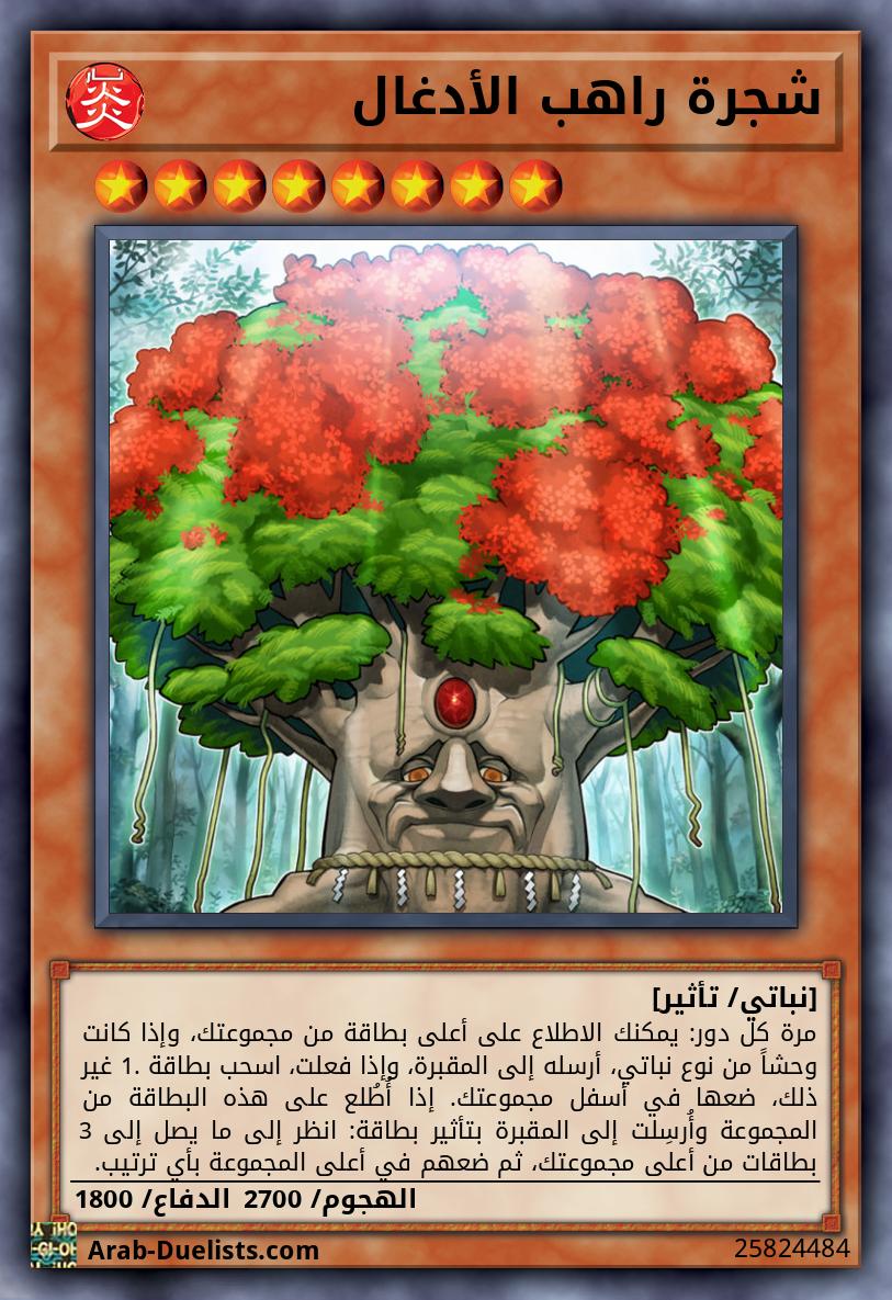 شجرة راهب الأدغال