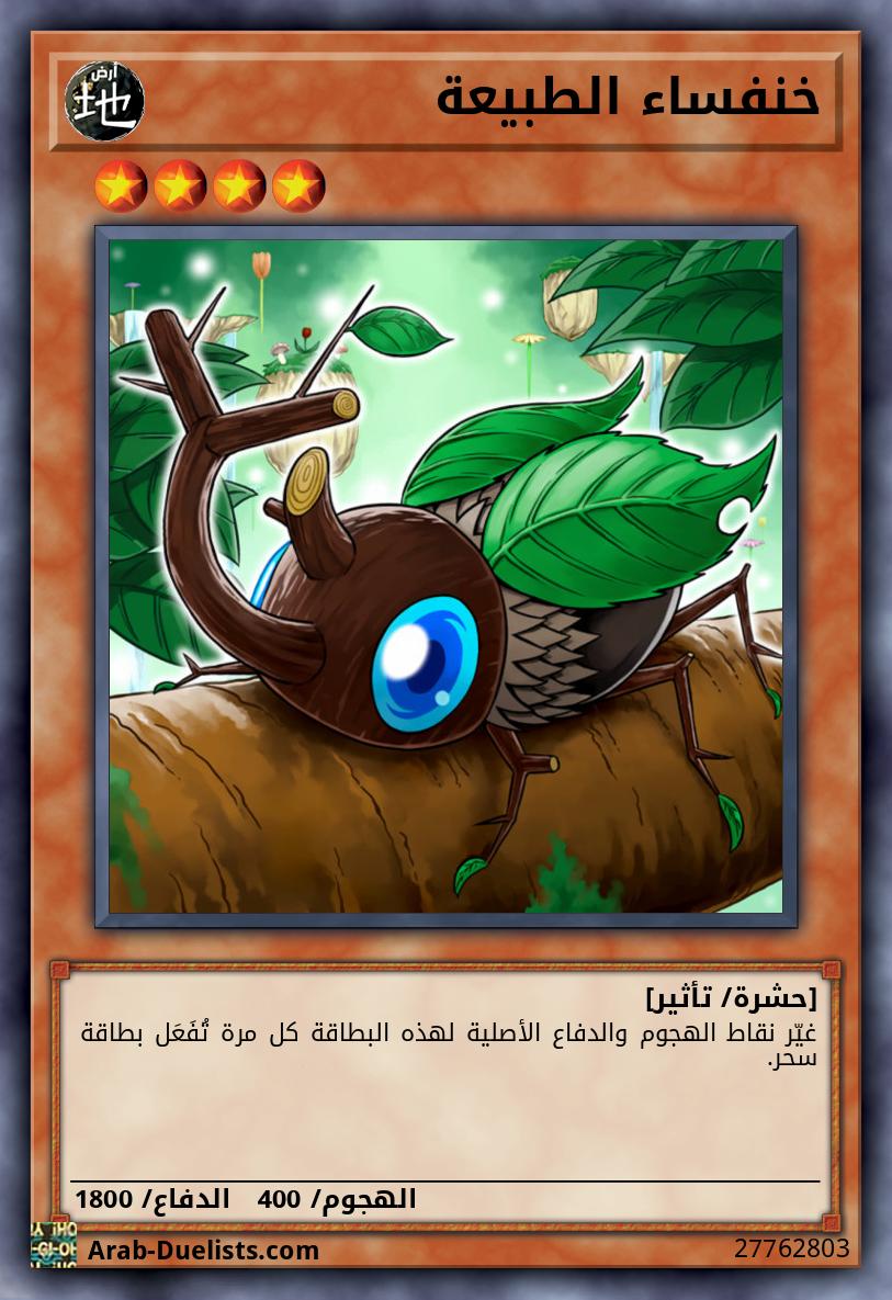 خنفساء الطبيعة