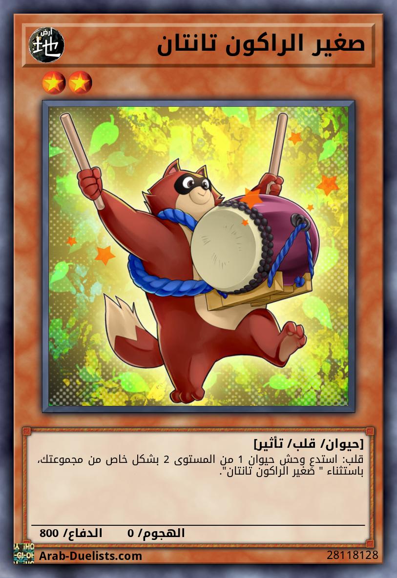 صغير الراكون تانتان