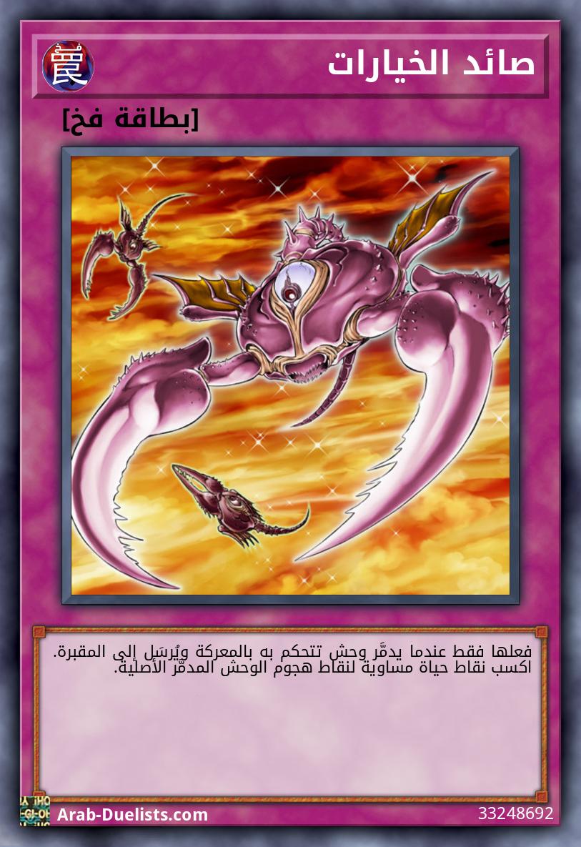 صائد الخيارات