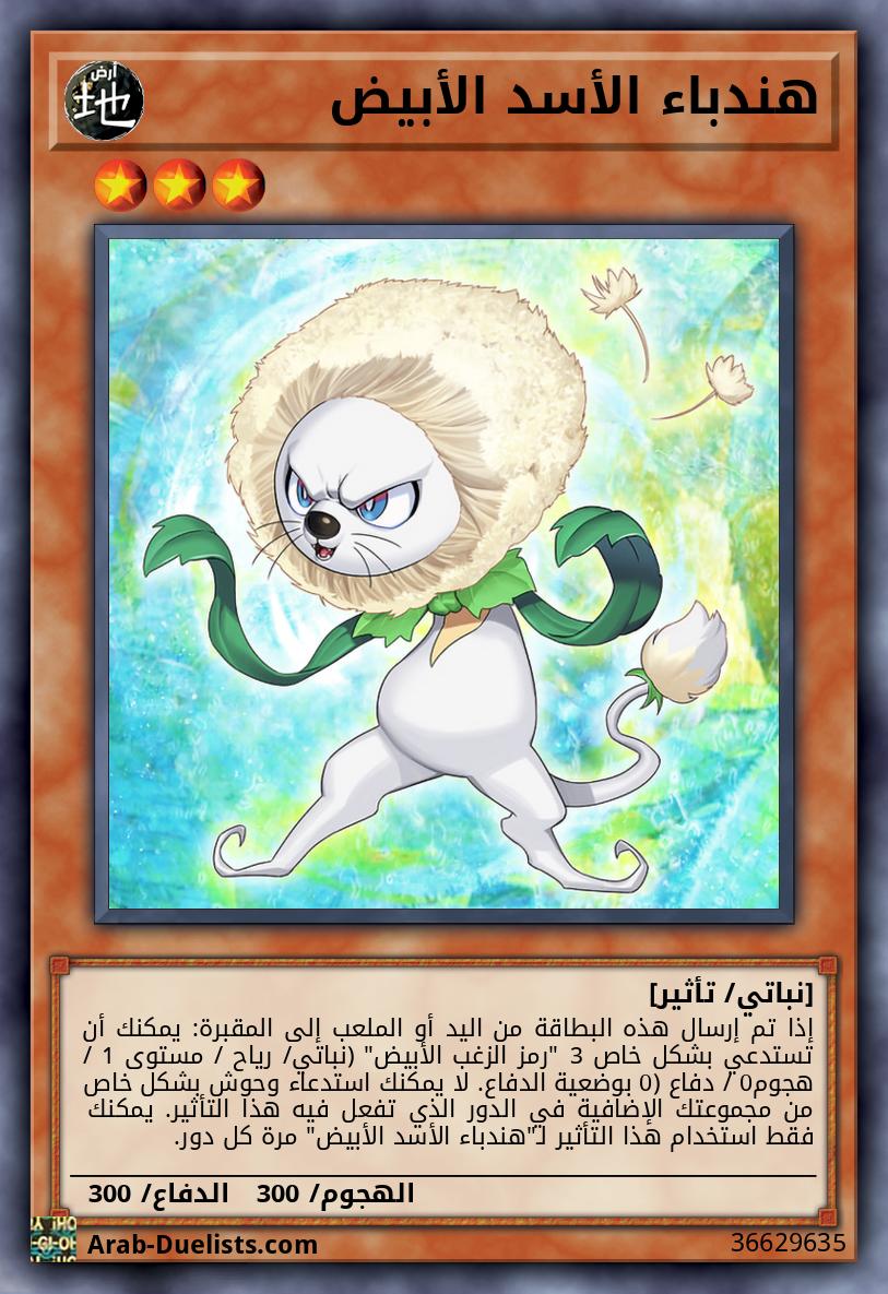 هندباء الأسد الأبيض