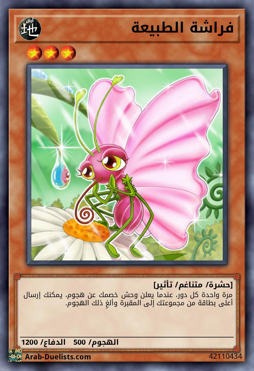 فراشة الطبيعة