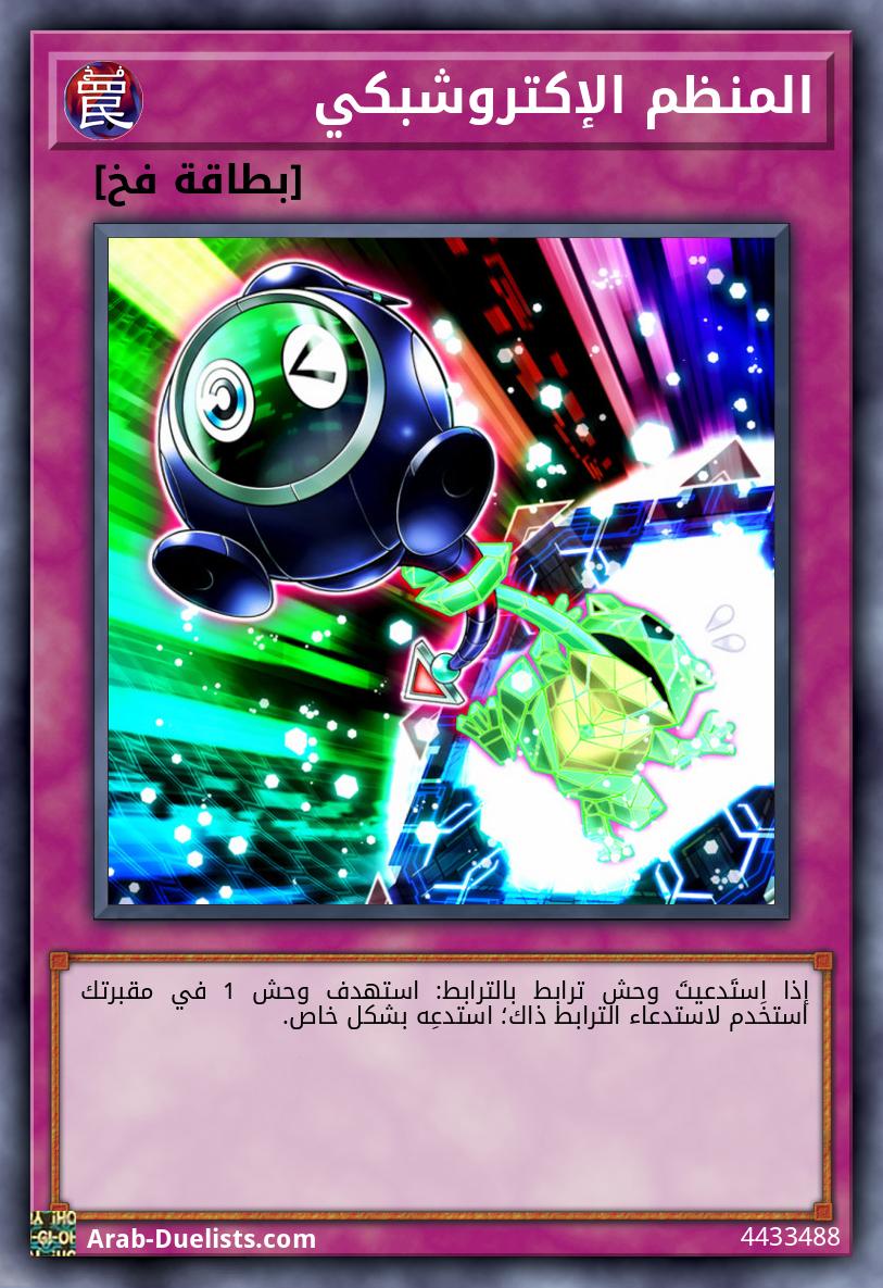 المنظم الإكتروشبكي