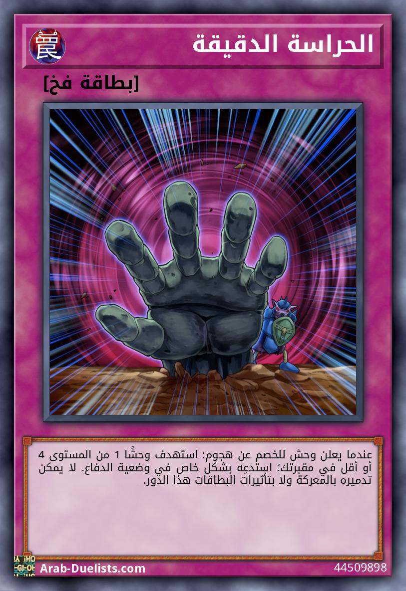 الحراسة الدقيقة