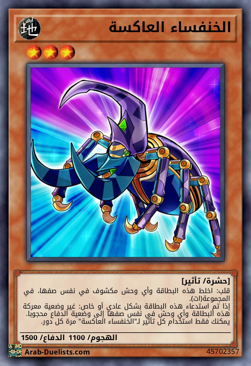 الخنفساء العاكسة