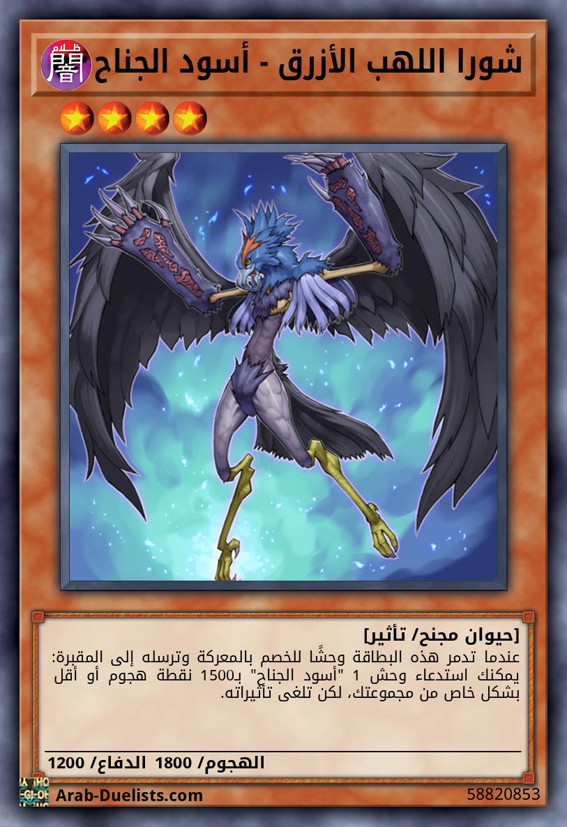 شورا اللهب الأزرق - أسود الجناح