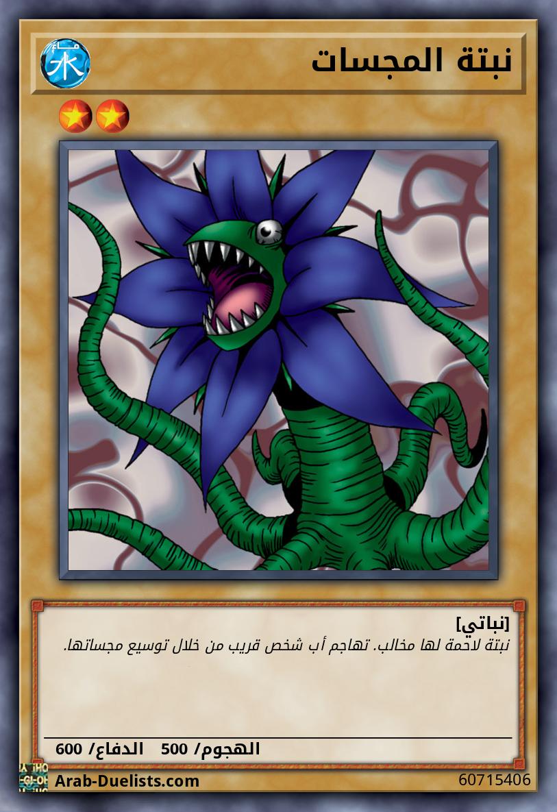 نبتة المجسات