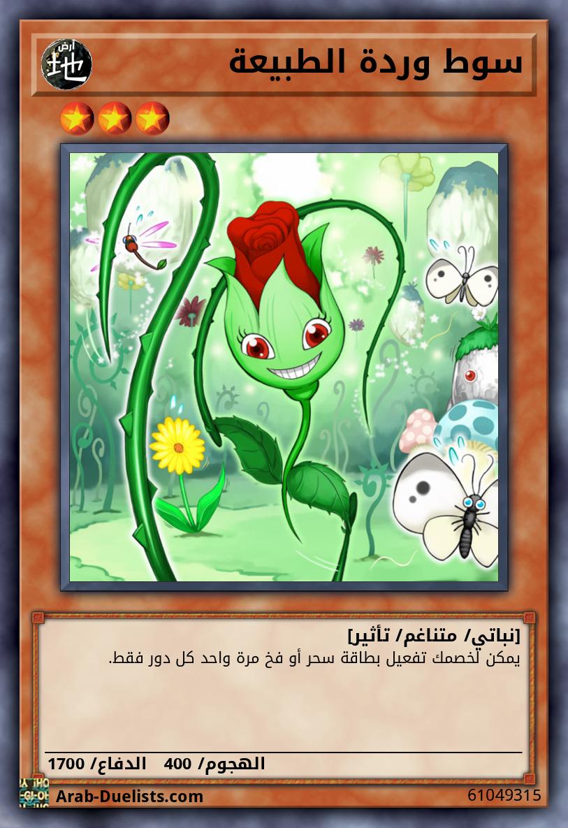 سوط وردة الطبيعة