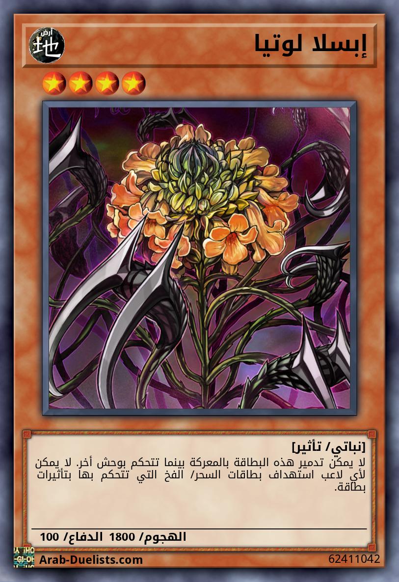 إبسلا لوتيا