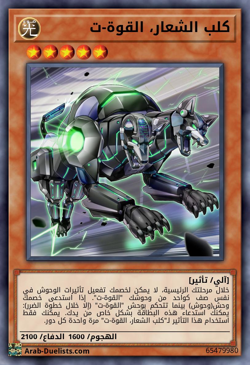 كلب الشعار، القوة-ت