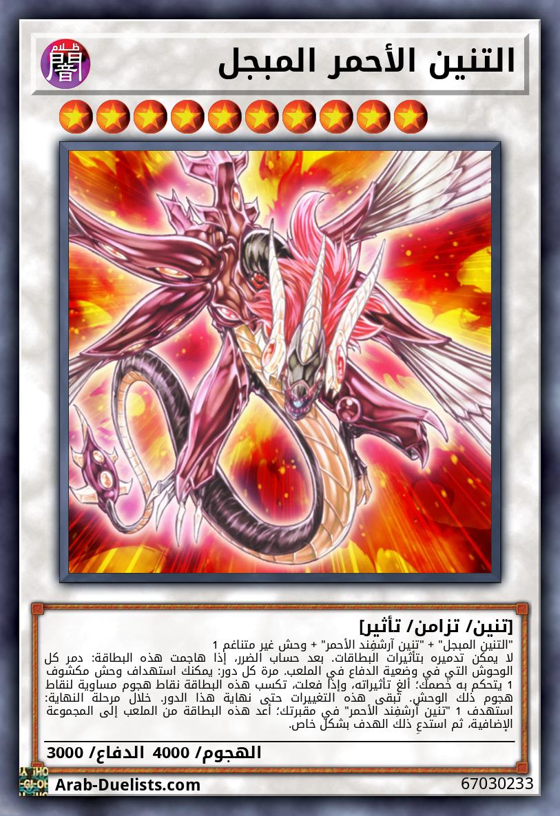 التنين الأحمر المبجل