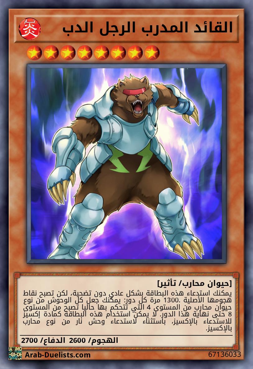القائد المدرب الرجل الدب