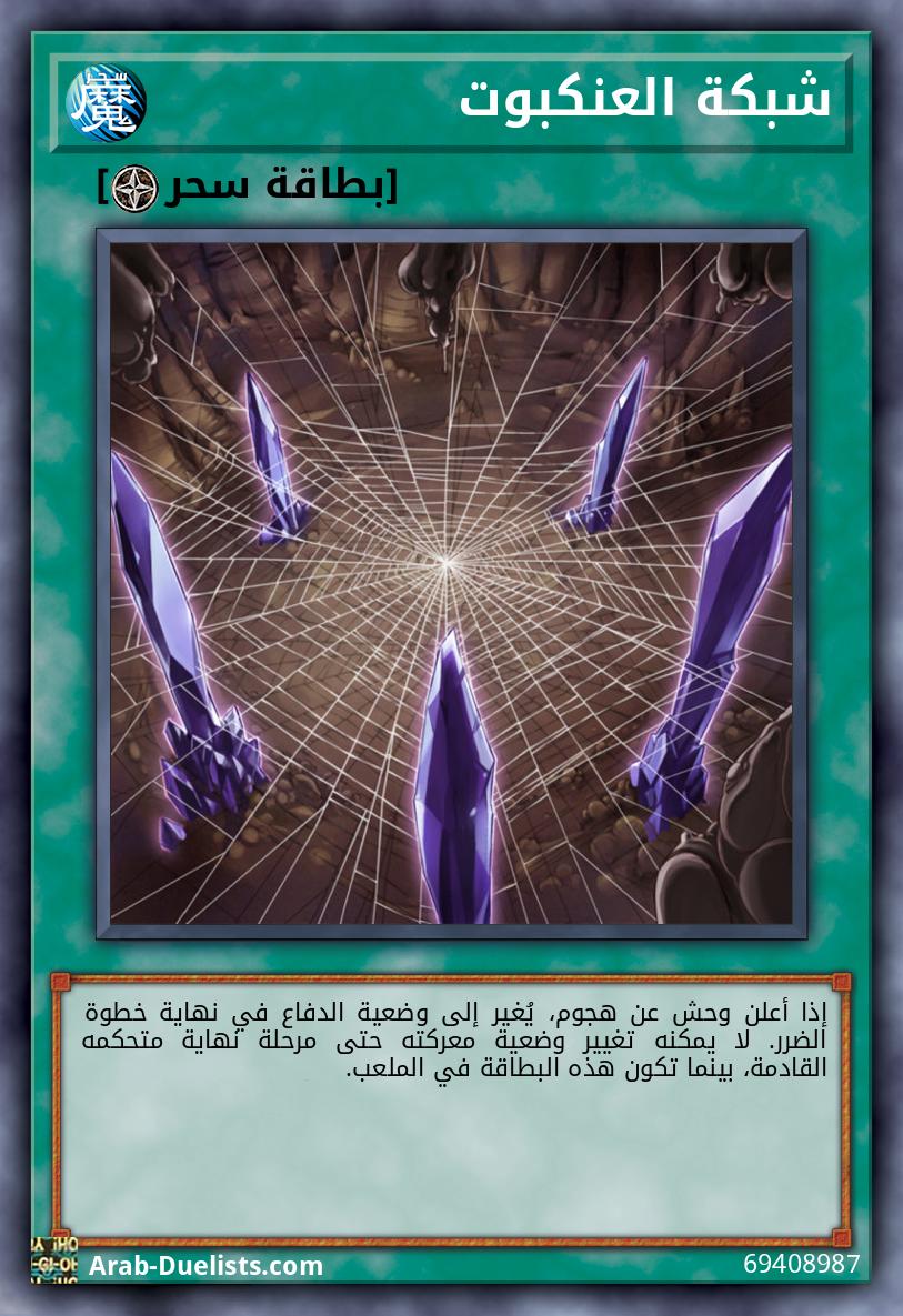 شبكة العنكبوت