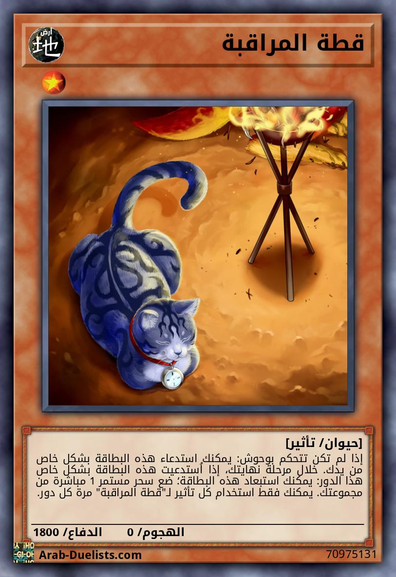 قطة المراقبة