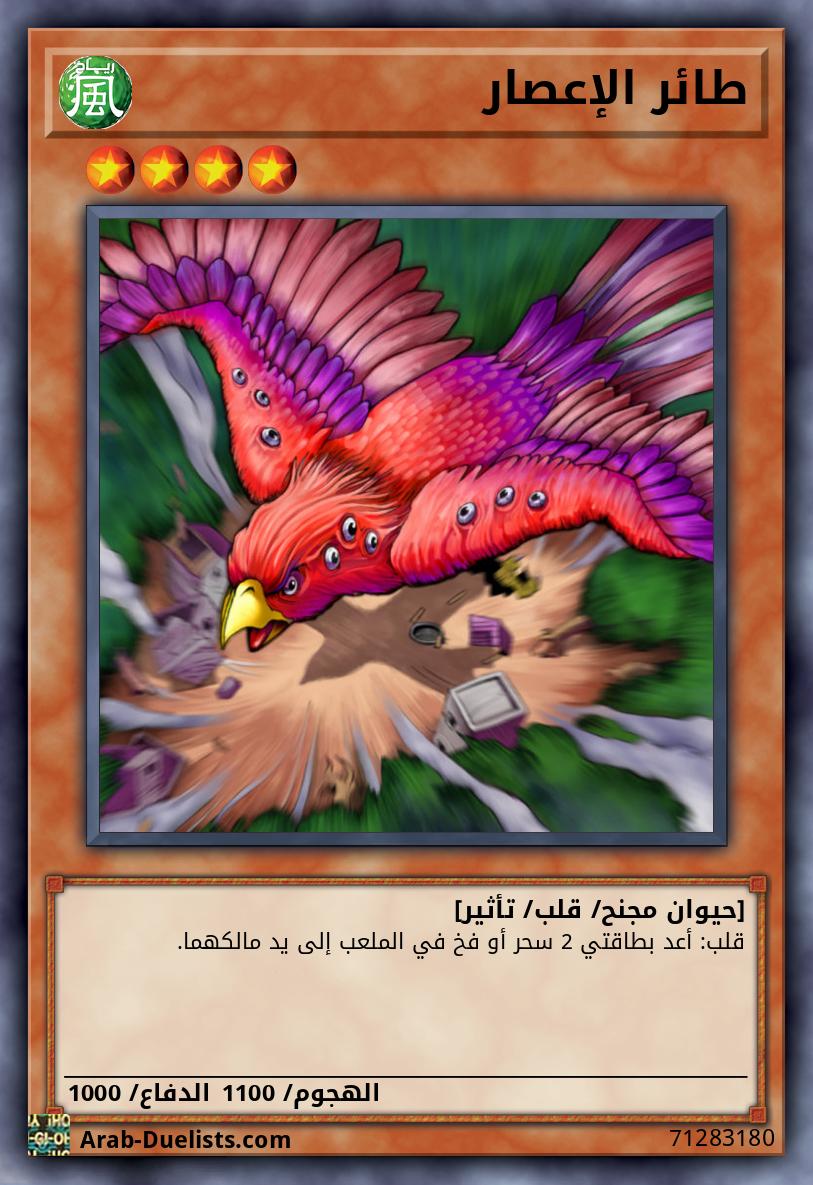 طائر الإعصار