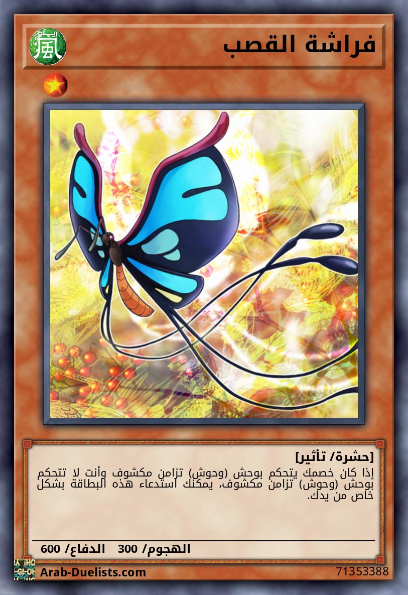 فراشة القصب