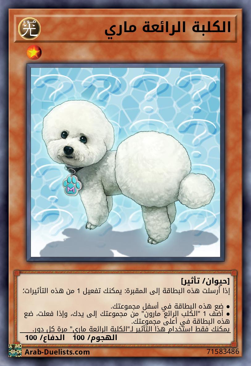 الكلبة الرائعة ماري