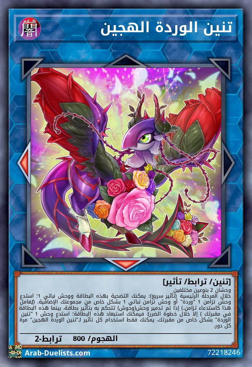 تنين الوردة الهجين