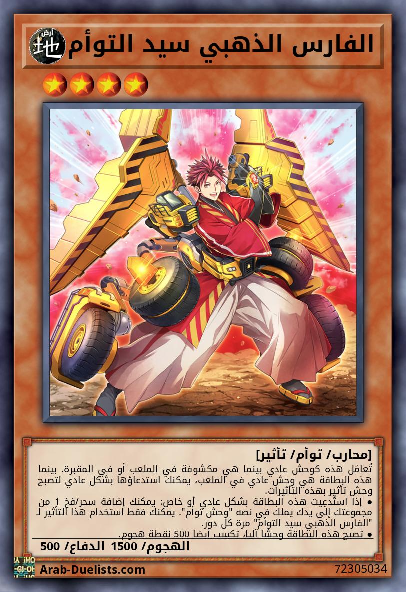 الفارس الذهبي سيد التوأم