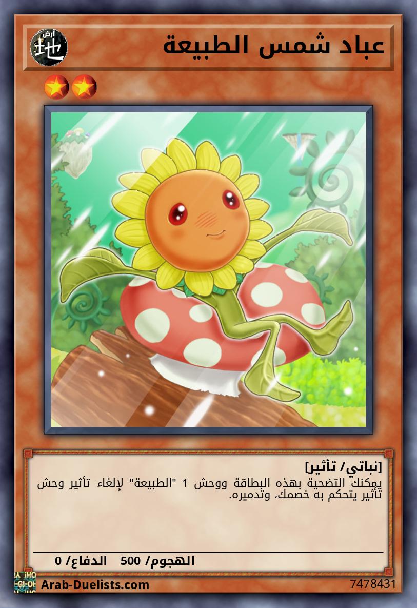 عباد شمس الطبيعة