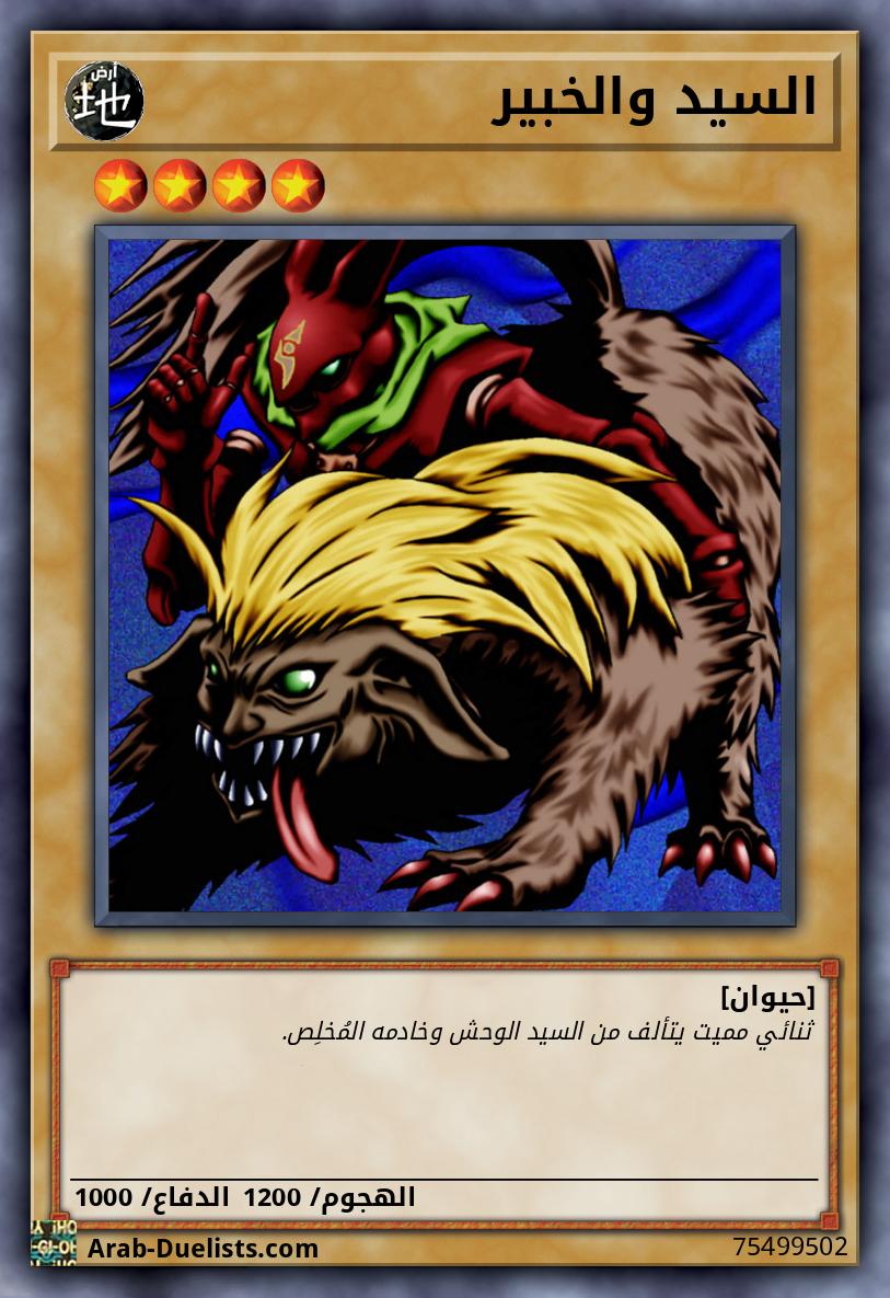 السيد والخبير