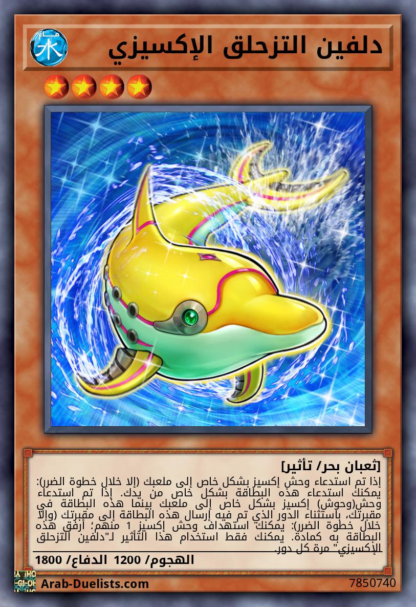 دلفين التزحلق الإكسيزي