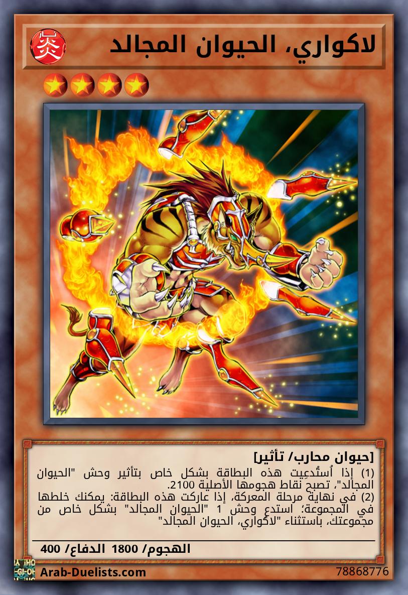 لاكواري، الحيوان المجالد