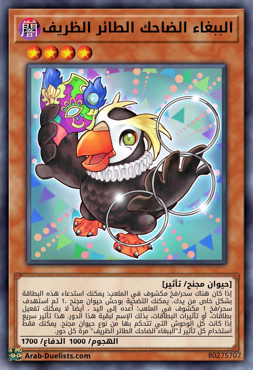 الببغاء الضاحك الطائر الظريف