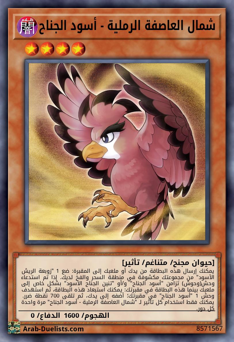 شمال العاصفة الرملية - أسود الجناح