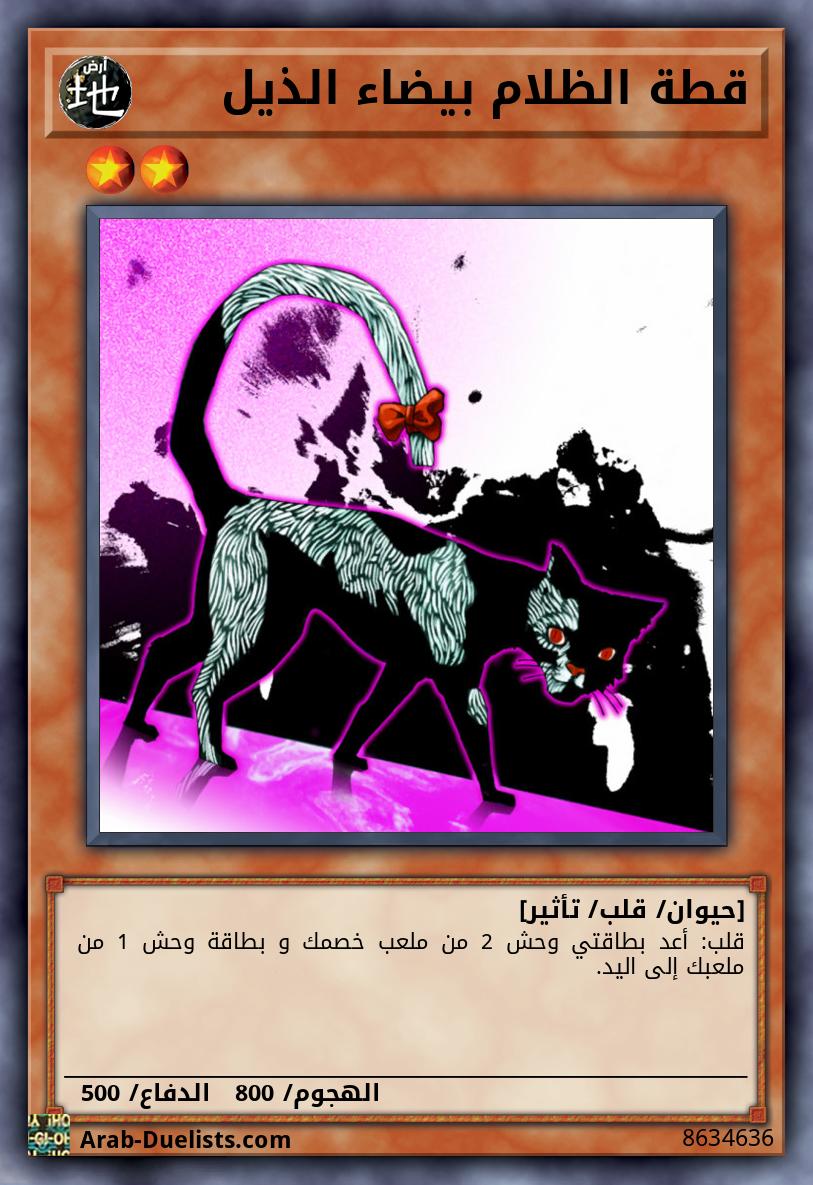 قطة الظلام بيضاء الذيل