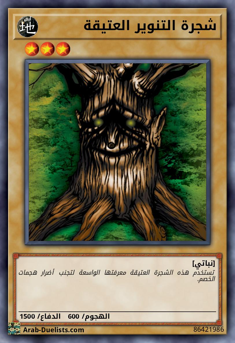 شجرة التنوير العتيقة