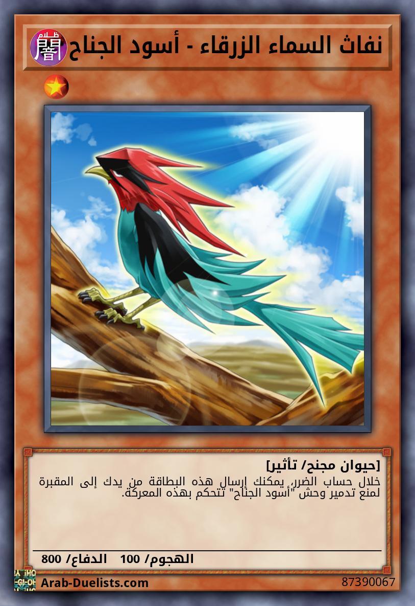 نفاث السماء الزرقاء - أسود الجناح