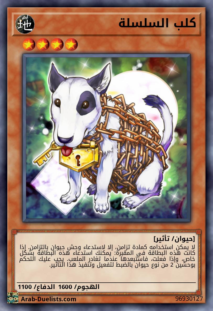 كلب السلسلة