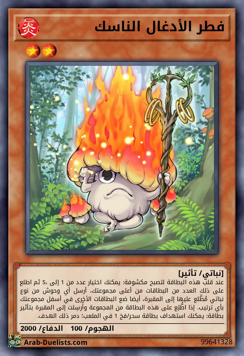 فطر الأدغال الناسك